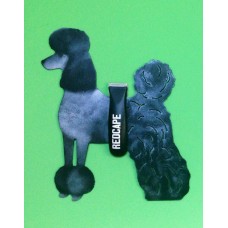 Poodle