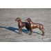 Shorthaired Hungarian Vizsla