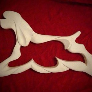 American Cocker Spaniel