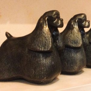 American Cocker Spaniel