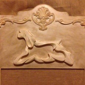 American Cocker Spaniel