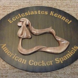 American Cocker Spaniel